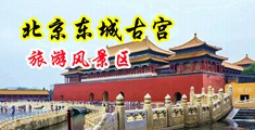 看免费美女操逼现场中国北京-东城古宫旅游风景区